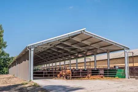 Hale moderne pentru agricultura: Solutii inovatoare pentru fermierul contemporan