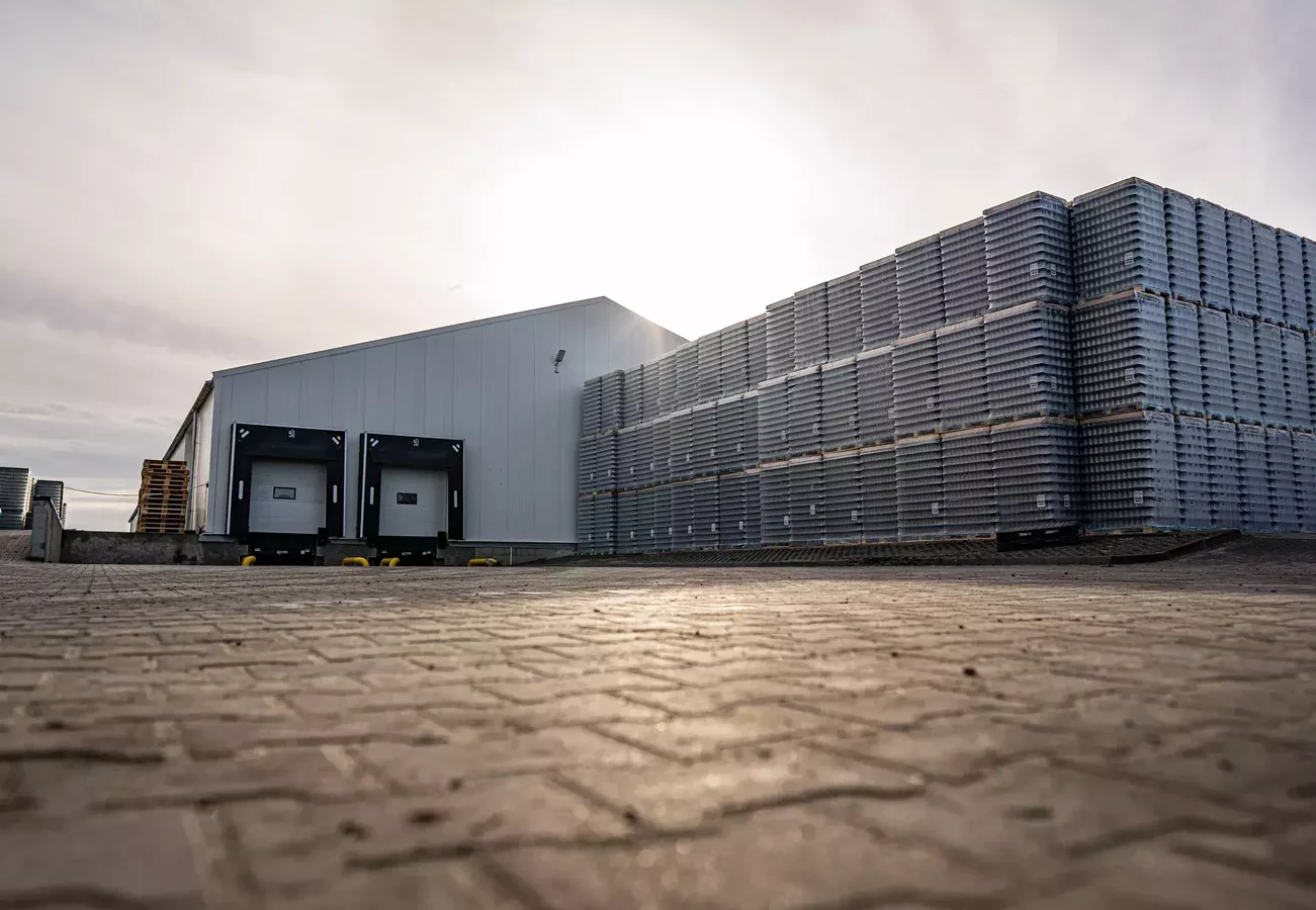 Hale din aluminiu - Hală din aluminiu adaptată nevoilor afacerii tale