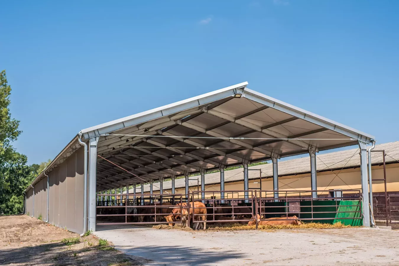 Hale din oțel pentru agricultură - Construirea unei hale pentru agricultură de la A la Z