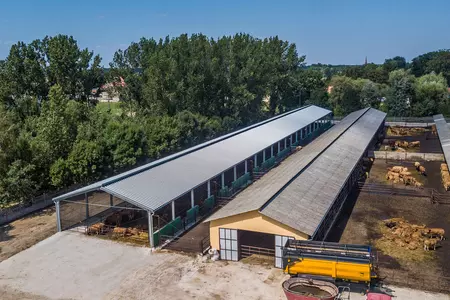 Hală agricolă în loc de hambar - cum o construcție de oțel modernă a schimbat o gospodărie